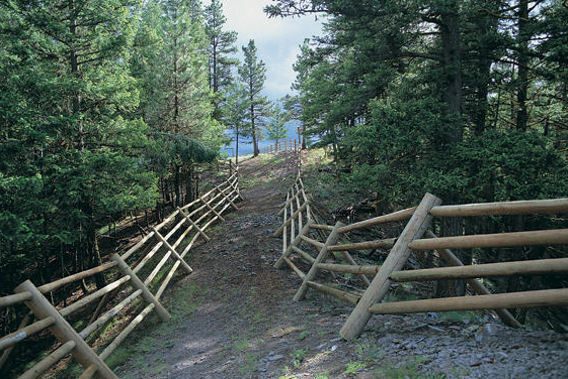 Image of a trail with fences and trees.